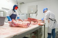 Slagteri med forarbejdning af kød - Søger investering