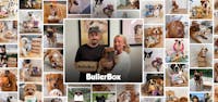 BullerBox søger investering til profitabel vækst